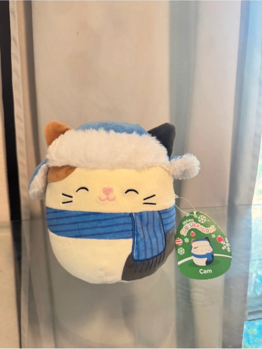 Squishmallows Cam Cat Plush in Blue Hat with Tan & Black Ears